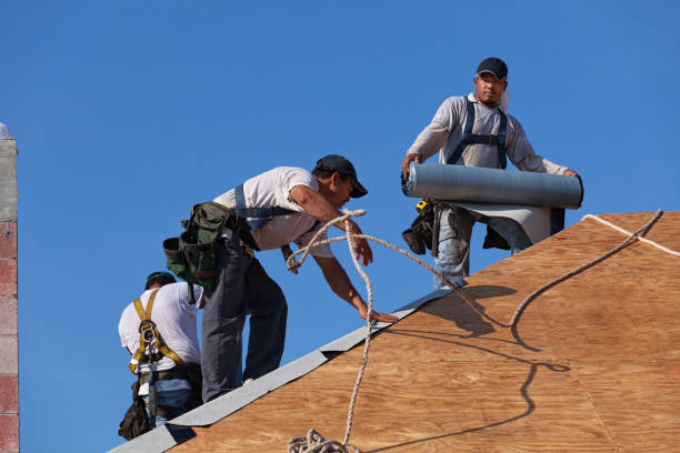 Best Local Roofing Companies  in Genoa, AR