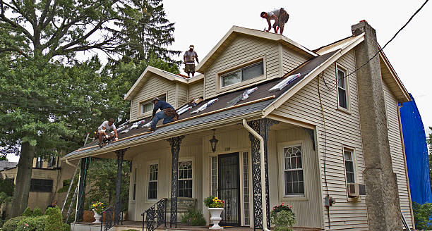 Best Commercial Roofing Services  in Genoa, AR
